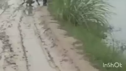 पलवल: यमुना किनारे भोलडा में मुसीबत भरा रास्ता, ग्रामीण परेशान, स्कूली बच्चों की जान को खतरा