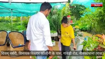 नीमकाथाना में सबसे अच्छी और सबसे सस्ती नर्सरी सभी ग्राफ्टेड पौधे डिस्काउंटेड रेटों पर मिलेंगे...#news #latestupdates