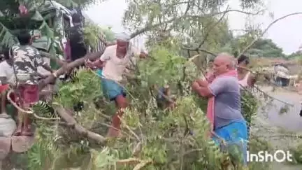जमालपुर: सफियासराय थाना क्षेत्र में सिंधिया बगीचा टोला के पास डंपर मेडिकल दुकान में घुसा, वृद्ध घायल