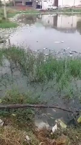 *डूंगरपुर रीलका गांव का तालाब हुआ ओवरफ्लो घरों में घुसा पानी नहीं है पानी निकासी के साधन yeida कर रहा विकास के दावे