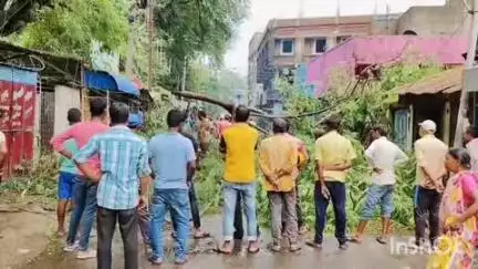 পুরুলিয়া ২: পুরুলিয়া পৌরসভার ২৩ নম্বর ওয়ার্ডের কেকে অধিকারী লেনে বিপজ্জনক অবস্থায় থাকা গাছ কেটে ফেলা হল