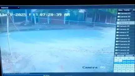 ফাঁসিদেওয়া: এক মহিলার গলা থেকে চেন ছিনতাই এর ঘটনায় চাঞ্চল্য জ্যোতিনগর গ্রামে; প্রকাশ্যে এলো সিসিটিভি ফুটেজ