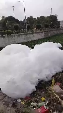 शाजापुर: चिल्लर नदी में दिखने लगा जहरीला झाग
