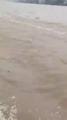 संत रविदास घाट के पास NDRF की तत्परता और बहादुरी से एक युवक की जान बचाई गई