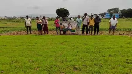జన్నారం: పంటలలో అధిక దిగుబడికి నాణ్యమైన విత్తనాలని వినియోగించాలి: జన్నారం మండల వ్యవసాయ అధికారి సంగీత