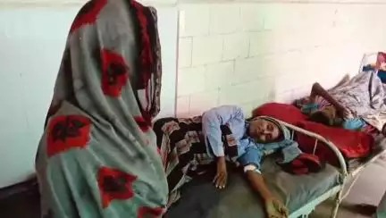 ढीमरखेड़ा: तिघरा में मवेशी चराने गए 62 वर्षीय वृद्ध को सांप ने काटा, अस्पताल में इलाज जारी