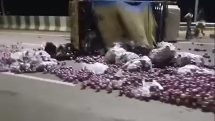 सिराथू: आगरा से प्रयागराज बैगन लादकर जा रही पिकअप शहज़ादपुर के पास हाइवे पर पलटी, सड़क पर फैला बैगन