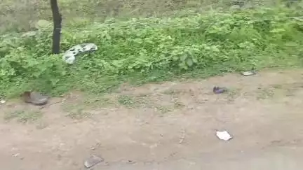 सारंगपुर: पढ़ाना के पास तलेन किठौर रोड पर टवेरा कार ने दो बाइक सवारों को मारी टक्कर, गंभीर हालत में शाजापुर रेफर