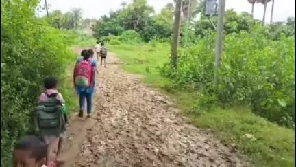 ଭଦ୍ରକ ଗ୍ରାମାଞ୍ଚଳ: ରାସ୍ତା ସମସ‍୍ୟାର ସମାଧାନ ପାଇଁ ଜିଲ୍ଲାପାଳଙ୍କ ଦ୍ୱାରସ୍ଥ ହେଲେ ଗୁଜିଦରଡ଼ା ୪ ନମ୍ବର ୱାର୍ଡର ଗ୍ରାମବାସୀ #jansamasya