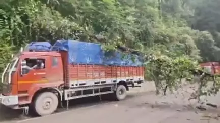 शिमला शहरी: राजधानी शिमला के लालपानी में गिरा पेड़, सड़क पर लगा लंबा जाम