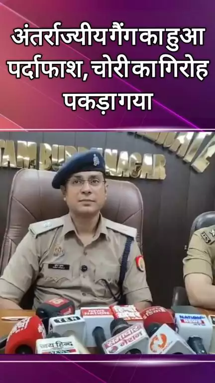 दादरी: सेक्टर 24 पुलिस ने अंतर्राज्यीय गैंग का पर्दाफाश करते हुए चोरी के गिरोह को पकड़ा