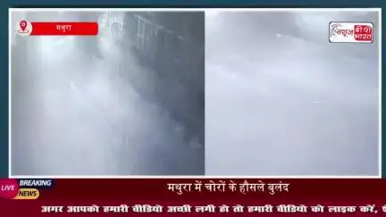 मथुरा में चोरों के हौसले बुलंद, घर के बाहर खड़ी ईको कार उड़ा ले गए बदमाश
#मथुरा #चोरों #घर