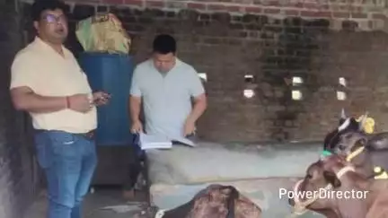लालकुऑ: पालतू पशुओं को सड़क पर छोड़ने पर प्रशासन ने की सख्त कार्रवाई, ₹4000 के चालान काटे