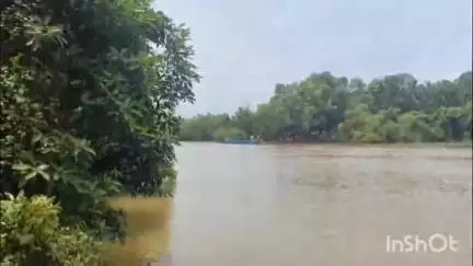 തിരൂരങ്ങാടി: പാലത്തിങ്ങൽ ന്യൂ കട്ടിൽ പുഴയിൽ കുളിക്കുന്നതിനിടെ ഒഴുക്കിൽ പെട്ട് കാണാതായ യുവാവിനെ ഇന്നും കണ്ടെത്താൻ കഴിഞ്ഞില്ല