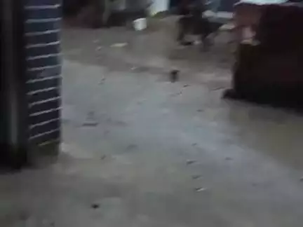 बॉलीपुर टाटा मे बारिश का समय
#123@