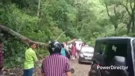ओखलकांडा: ओखलकांडा मोटर मार्ग में पेड़ गिरने से मार्ग अवरुद्ध, ग्रामीणों और राहगीरों ने पेड़ हटाकर मार्ग किया सुचारू