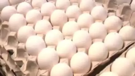 நாமக்கல்: முட்டை விலை 20 காசுகள் திடீர் சரிவு - நாளை முதல் அமலுக்கு வரும் புதிய விலை