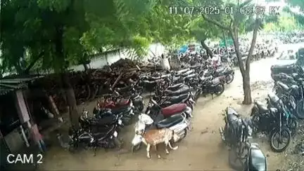 कानपुर: जाजमऊ के दादा मियां मजार के पास स्टैंड में खड़ी बाइक में शरारती बच्चे ने लगाई आग, सीसीटीवी फुटेज सामने आया
