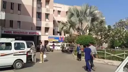 વાઘોડિયા: સામાન્ય પરિવારના યુવકના જન્મદિનની અનોખી ઉજવણી સમાજને સમાજસેવા માટે એક નવી રાહ ચિંઘી
