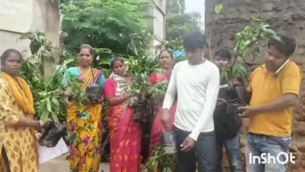 महुआडांड़: प्रखंड मुख्यालय में लिड संस्था ने 32 किसानों को फलदार पौधे वितरित किए