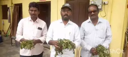 కొత్తగూడెం: పత్తి మొక్కలను పీకి వేస్తూ, లక్షలు నష్టం చేస్తున్న ఫారెస్ట్ బీట్ ఆఫీసర్ ను సస్పెండ్ చేయాలని పాల్వంచ CPI నాయకుల డిమాండ్