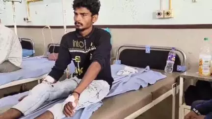 डूंगरपुर: खेरवाड़ा निचला माडवा गांव में पशुओं को चारा खिलाने के लिए चारा काटने गए युवक को जहरीले जानवर ने काट लिया, युवक हुआ अचेत