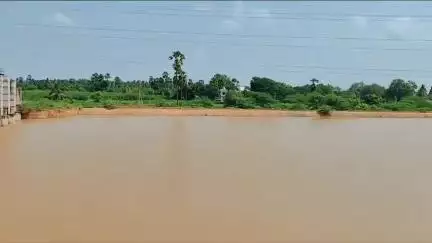 కొప్పాక - అంకన్నగూడెం లాకుల నుంచి పోలవరం కెనాల్ నీటిని విడుదల చేసిన ఎమ్మెల్యే చింతమనేని ప్రభాకర్
