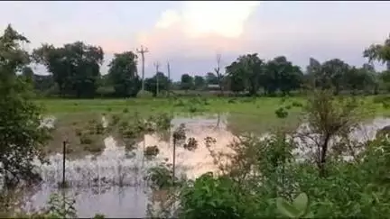 छतरपुर: बारी गांव में भारी बारिश से किसानों की फसलें हुईं तबाह, खेतों में भरा पानी!