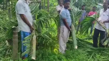 মাটিয়া: গোচৰ চলি থকা এডোখৰ ভূমিক লৈ দুই ফৈদৰ মাজত সংঘটিত হয় অপ্ৰীতিকৰ ঘটনা