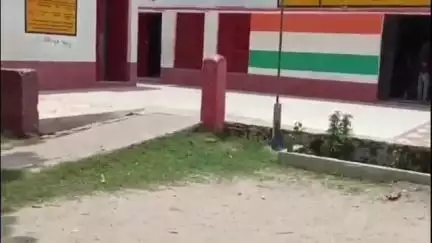 बिसवां: उच्च प्राथमिक विद्यालय रेवान में 'मां के नाम' थीम के अंतर्गत वृक्षारोपण कार्यक्रम का आयोजन हुआ