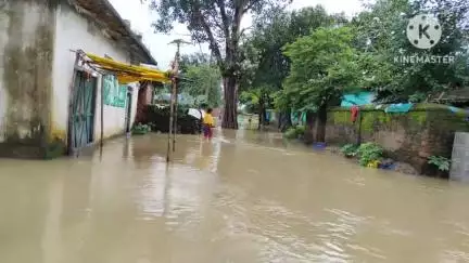 राहे: राहे में बारिश से आफत, 200 से अधिक परिवार प्रभावित