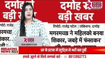 दमोह में मगरमच्छ का आतंक – महिला को बनाया शिकार, शव बरामद


#DamohNews, #MadhyaPradesh, #CrocodileAttack, #DamohCrocodile,