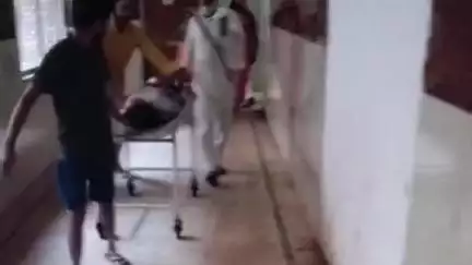 बरही: डोकरिया में खेत में रोपा लगाते समय जहरीले सांप ने किशोरी को काटा, बरही अस्पताल से जिला अस्पताल रेफर
