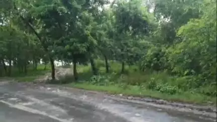 মঙ্গলকোট: মঙ্গলকোটের খাড়দিঘী এলাকা থেকে উদ্ধার তাজা বোমা, নিষ্ক্রিয় করলো CID-র বোম স্কোয়ার্ডের একটি দল