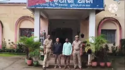 ଫୁଲବାଣୀ ସହର: ଲେତିଙ୍ଗିଆ ଅଞ୍ଚଳରେ  ଗଞ୍ଜେଇ ଚାଷ କରୁଥିବାକୁ ନେଇ ଫେରାର ଥ‌ିବା ଦୁଇ ଜଣକୁ କ.ନୂଆଗାଁ ପୋଲିସ ଦ୍ୱାରା ଗିରଫ