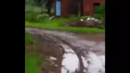 गुनौर: उड़की मजरा ग्राम में सड़क न होने से लोगों को हो रही परेशानी, युवाओं ने सोशल मीडिया पर वीडियो किया पोस्ट