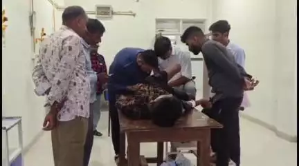 मनासा: खेमपुरा में राह चलते बालक को सांप ने काटा, उपचार के बाद ज़िला अस्पताल रेफर