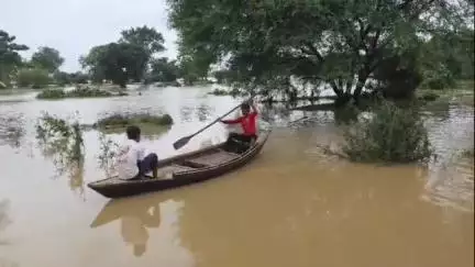 देसाईगंज वडसा: सावंगी गावात अतिवृष्टीमुळे पूरस्थिती; शेती व घरांचे नुकसान, गोसेखुर्द प्रकल्पामुळे नुकसान होत असल्याचा आरोप