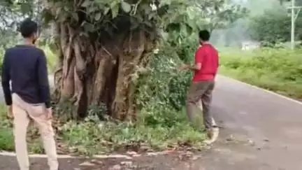 नोआमुंडी: सावन में शिव भक्तों की सुरक्षा के लिए नोवामुंडी में सड़क किनारे पेड़ों पर लगाया रेडियम