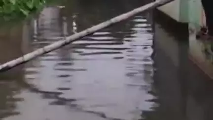 রানাঘাট ১: টানা বৃষ্টিতে জল মগ্ন রানাঘাটের শরৎপল্লী এলাকা,এলাকা পরিদর্শন করে যৌথ ভাবে সমস্যা সমাধানের আবেদন রানাঘাটের বিধায়কের