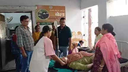 महागामा: ऊर्जानगर में महिला को सांप ने काटा, हालत स्थिर होने पर घर भेजा गया