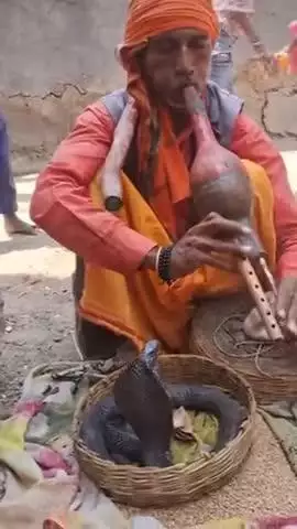 करिए गांव का वीडियो सपेरे की धुन