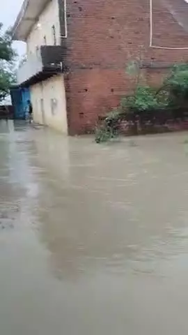 गरमा पंचायत जीतनगर बिहारी टोल में घर में पानी घुस गया हैं