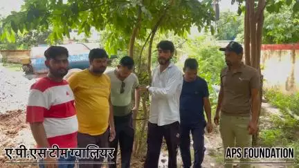 नगर निगम की बड़ी लापरवाही हर दिन जानवर अपनी जान गँवा रहे हैं … 

Respect Girls help poor help animals 

#apsgurjar #help #gwalior