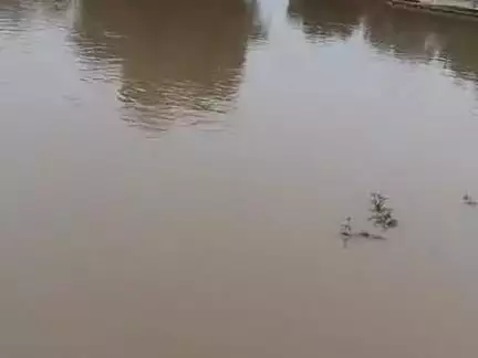 Chitrakoot के ग्राम गजटa ऐंचवारा में बारिश का खतरनाक स्तर
