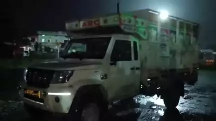 NH-30 ग्राम खरमसेड़ा मोड़ के पास पुलिस ने पशु तस्करी में 7 भैंस बरामद की, दो आरोपी गिरफ्तार