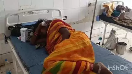 मेदिनीनगर (डालटनगंज): मेदिनीनगर: हमीदगंज में घरेलू विवाद के बाद महिला ने खाया कीटनाशक, हालत गंभीर