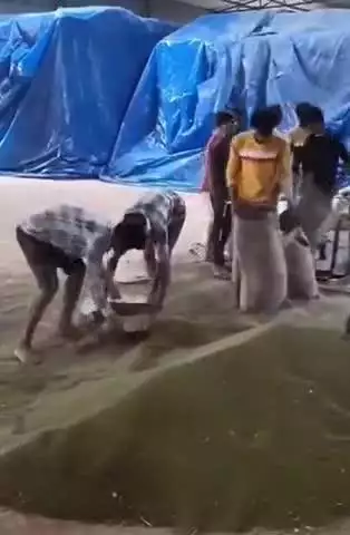 बाबई: माखन नगर के ग्राम फुरतला स्थित चेतन वेयर हाउस सील, किसानों की मूंग रखी थी
