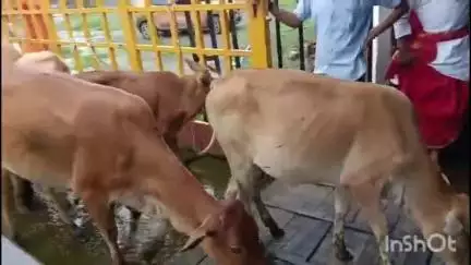सड़कें होंगी सुरक्षित: पुलिस ने की सख्त पहल, आवारा मवेशियों को गौशाला भेजा गया