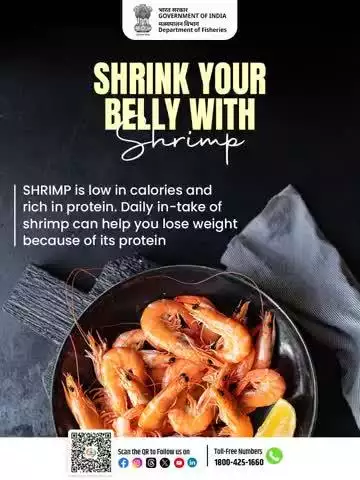 Shrink Your Belly with Shrimp! 

Looking to stay fit and healthy?
Shrimp is low in calories, high in protein, and perfect for weight watchers!
